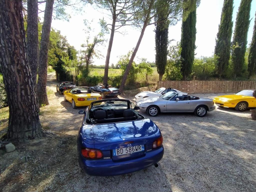 Miataland Bed & Breakfast Collazzone Eksteriør bilde